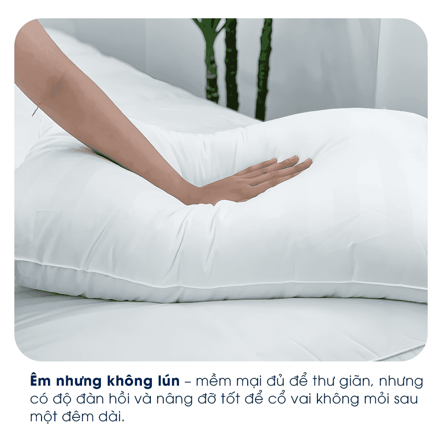 Lullaby bedding | Ruột gối nằm | gối nằm | Gối nằm microfiber | ruột gối lông vũ nhân tạo