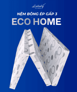 NỆM BÔNG ÉP GẤP 3 ECO-HOME LULLABY BEDDING