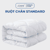 Ruột chăn standard - Lullaby Bedding