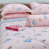 Bộ chăn ga gối Modal Hàn Quốc