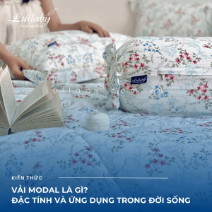 Vải Modal là gì? Nguồn gốc, đặc tính và ứng dụng trong đời sống | Lullaby Bedding