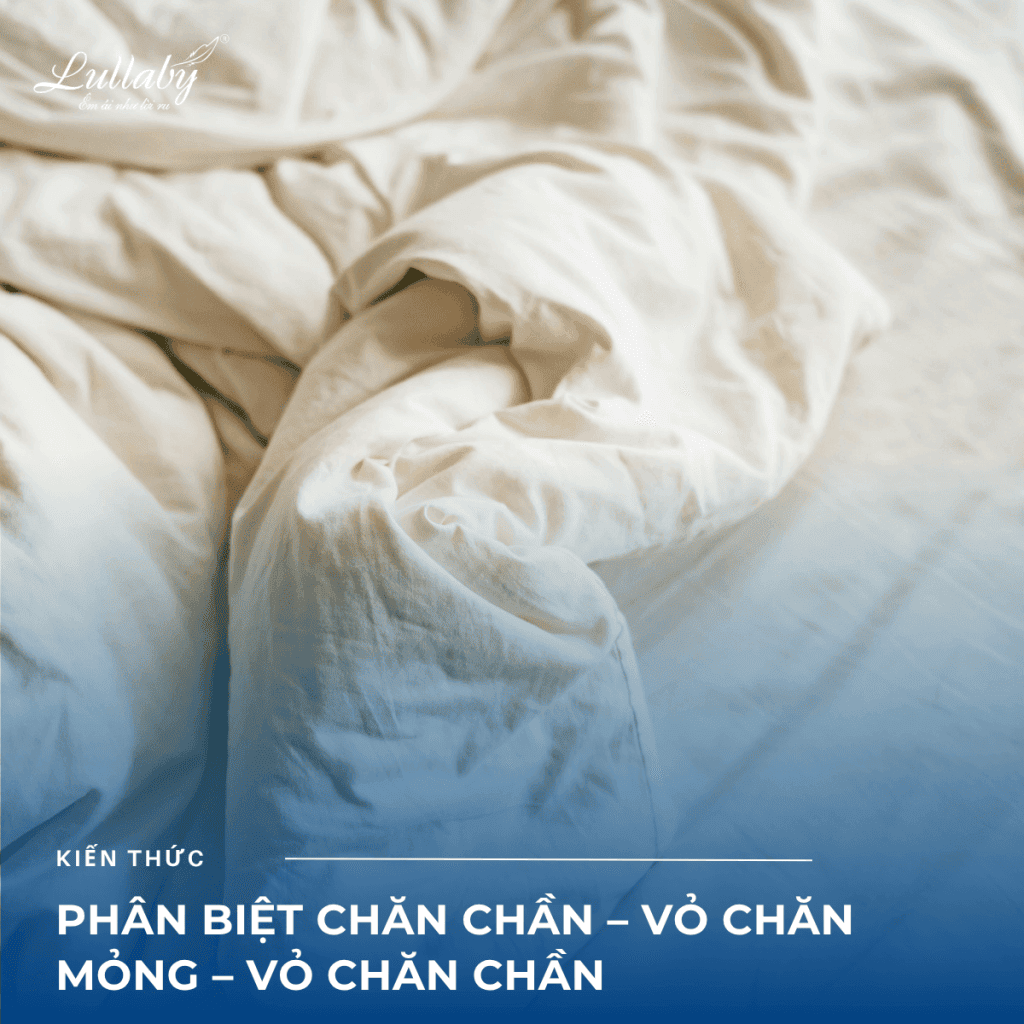 Phân biệt chăn chần – vỏ chăn mỏng – vỏ chăn chần: Đâu là lựa chọn phù hợp với bạn?