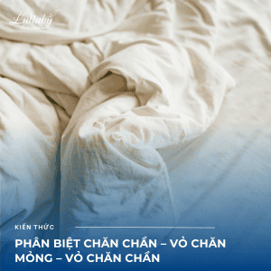 Phân biệt chăn chần – vỏ chăn mỏng – vỏ chăn chần: Đâu là lựa chọn phù hợp với bạn?