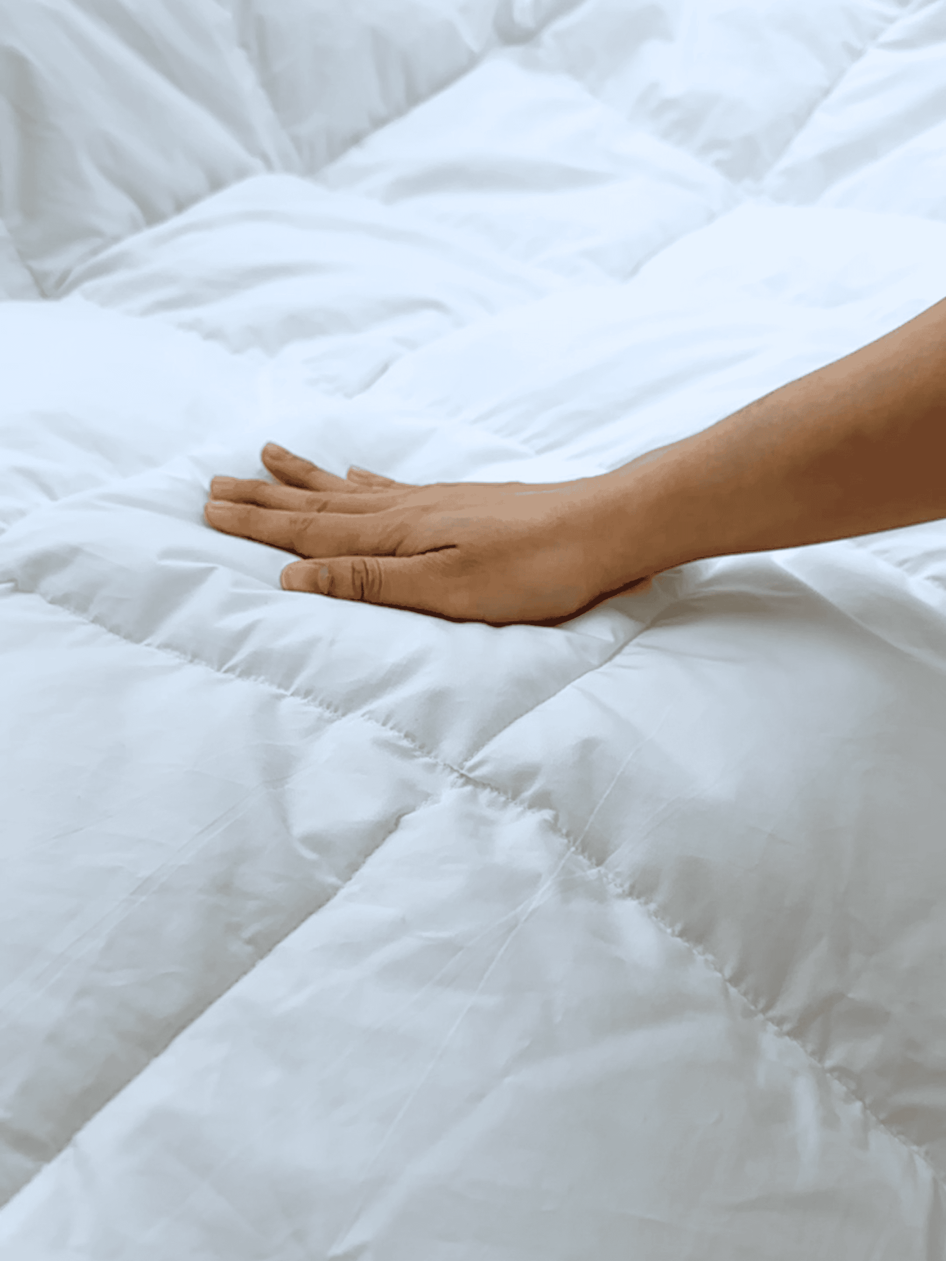 Ruột chăn cao cấp | Lullaby Bedding | Chăn chần bông