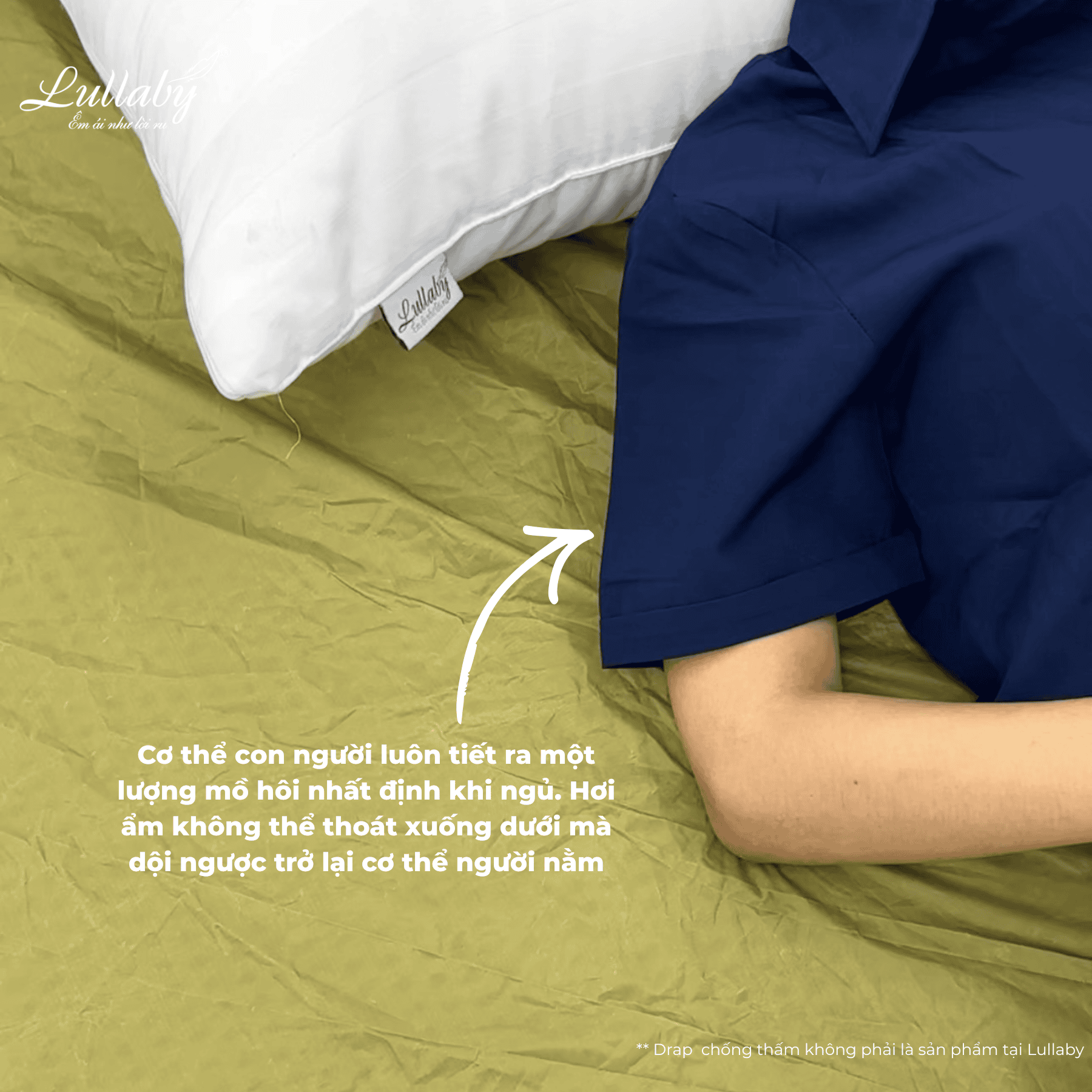 So sánh ga chống thấm và bảo vệ nệm | Lullaby Bedding