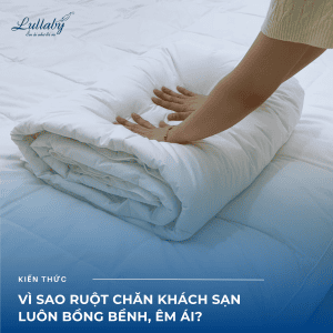 Ruột chăn cao cấp | Lullaby Bedding | Chăn chần bông