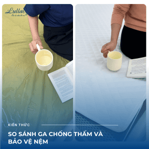 So sánh ga chống thấm và bảo vệ nệm | Lullaby Bedding