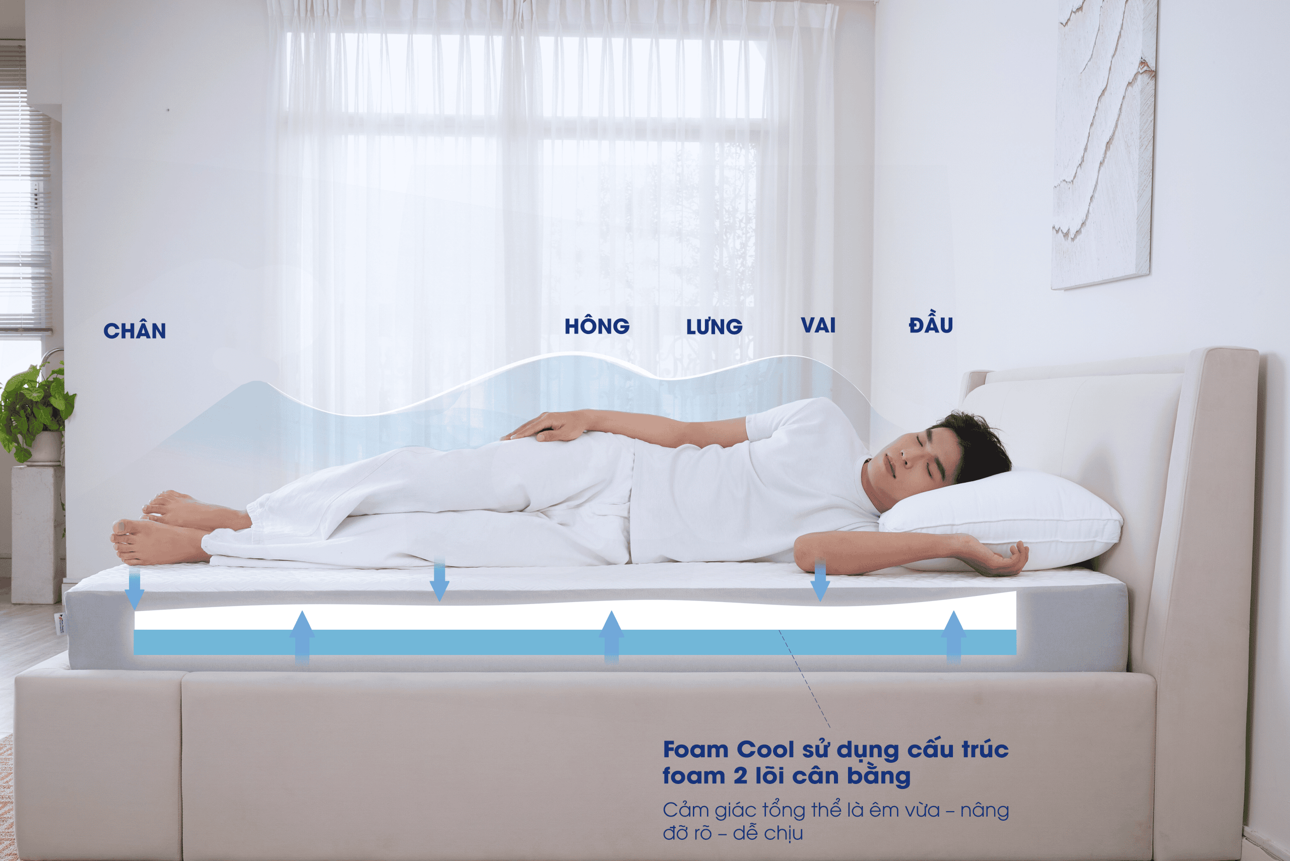 Lullaby Bedding | Nệm foam Cool | nệm mát lạnh | Nệm foam | Nệm cao cấp | Nệm Khánh Hoà | Nệm Hồ Chí Minh | Nệm chất lượng HCM Lullaby Bedding | Nệm foam Cool | nệm mát lạnh | Nệm foam | Nệm cao cấp | Nệm Khánh Hoà | Nệm Hồ Chí Minh | Nệm chất lượng HCM